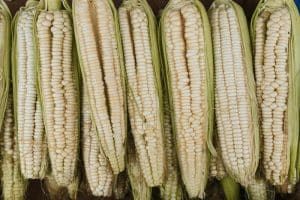 Receta De Pan De Elote En Licuadora